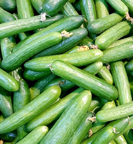 Огурцы среднеплодные гладкие, весовые Огурцы среднеплодные гладкие, весовые