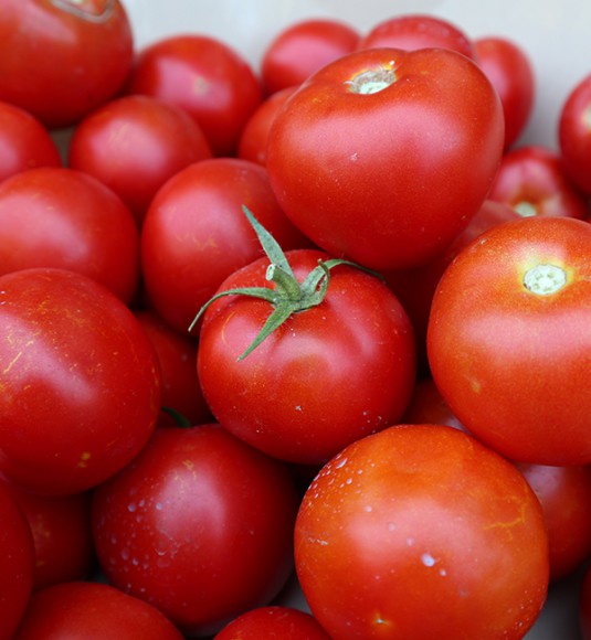 Томаты розовые, весовые Томаты розовые, весовые
